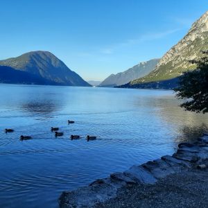 Luganomeer vanaf camping/Luganersee von der Campingplatz